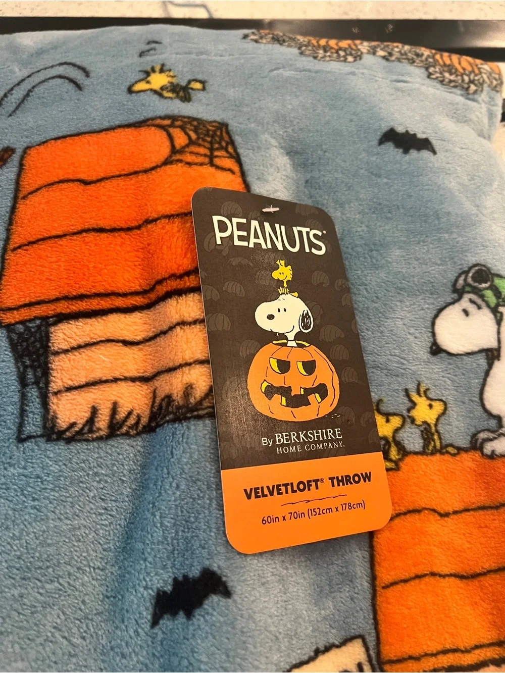 Peanuts velvetloft throw